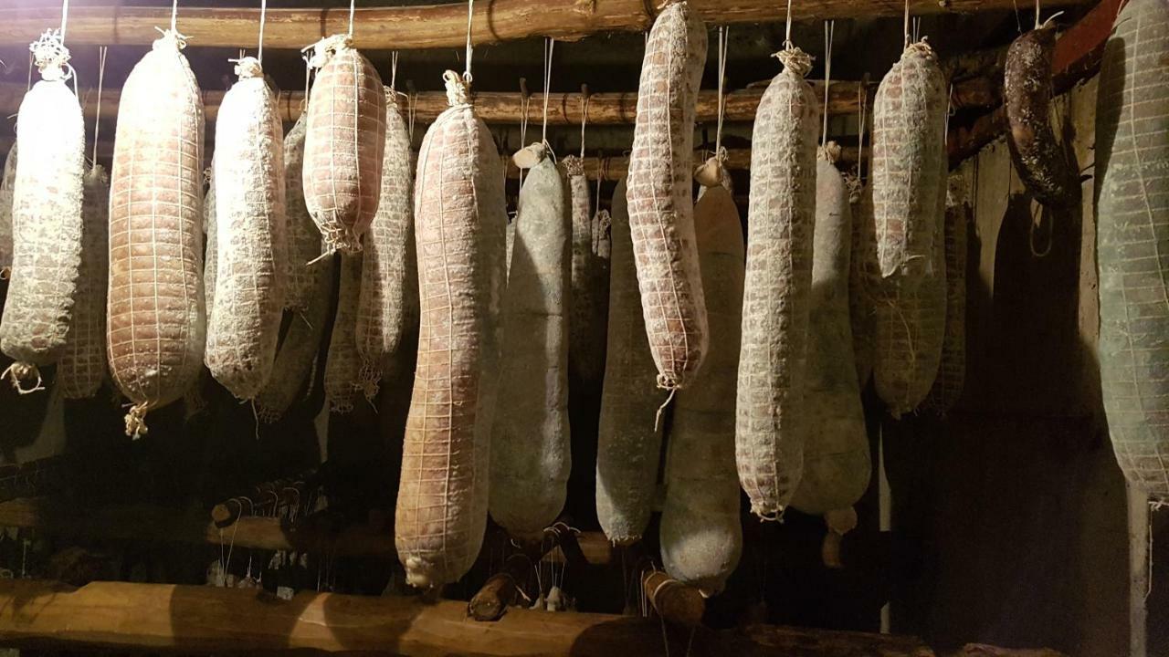 Agriturismo Volpe Golosa 모르베뇨 외부 사진